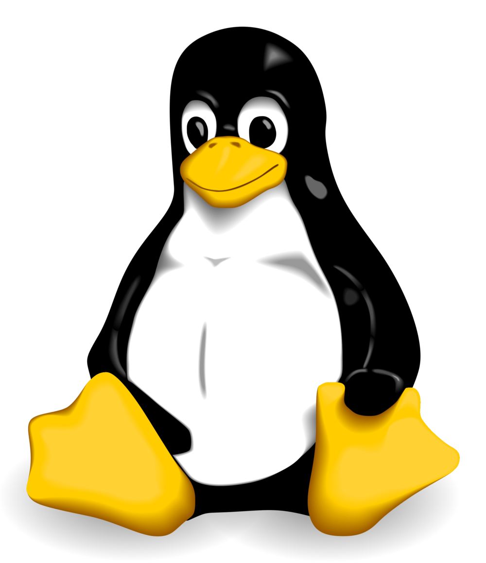 Linux Kernel